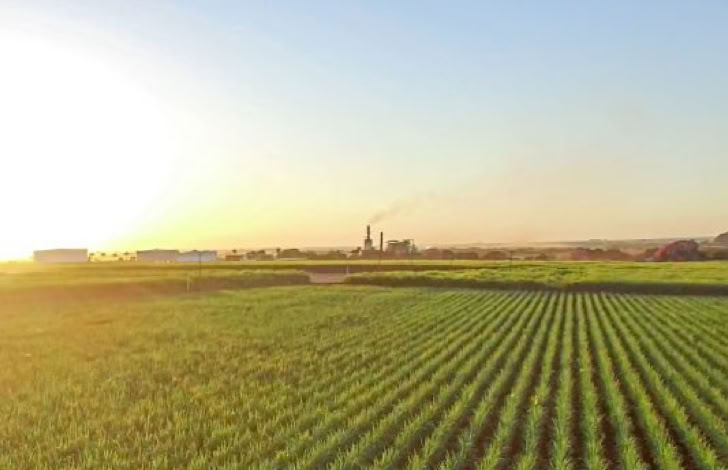 Charts and graphs highlighting retail sales growth, utilizing a magnifying glass for detail.